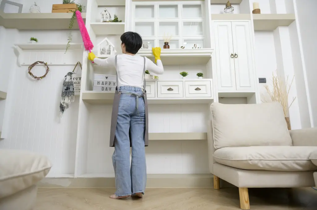 Daily Cleaning Routines for a Tidy Home